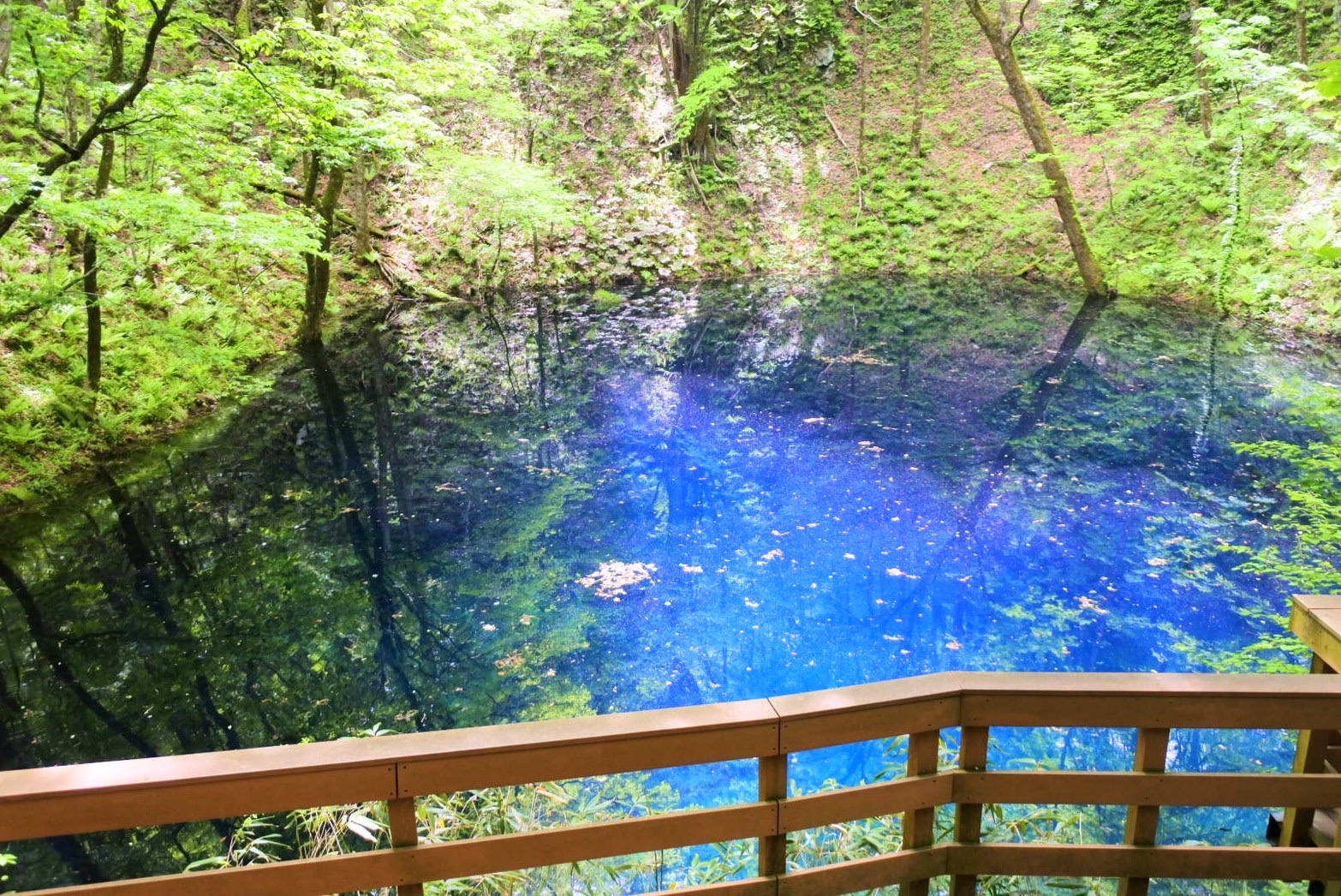 青森の見どころVol.1 コバルトブルーが美しい神秘の「青池」と世界遺産白神山地 | 株式会社大和海商
